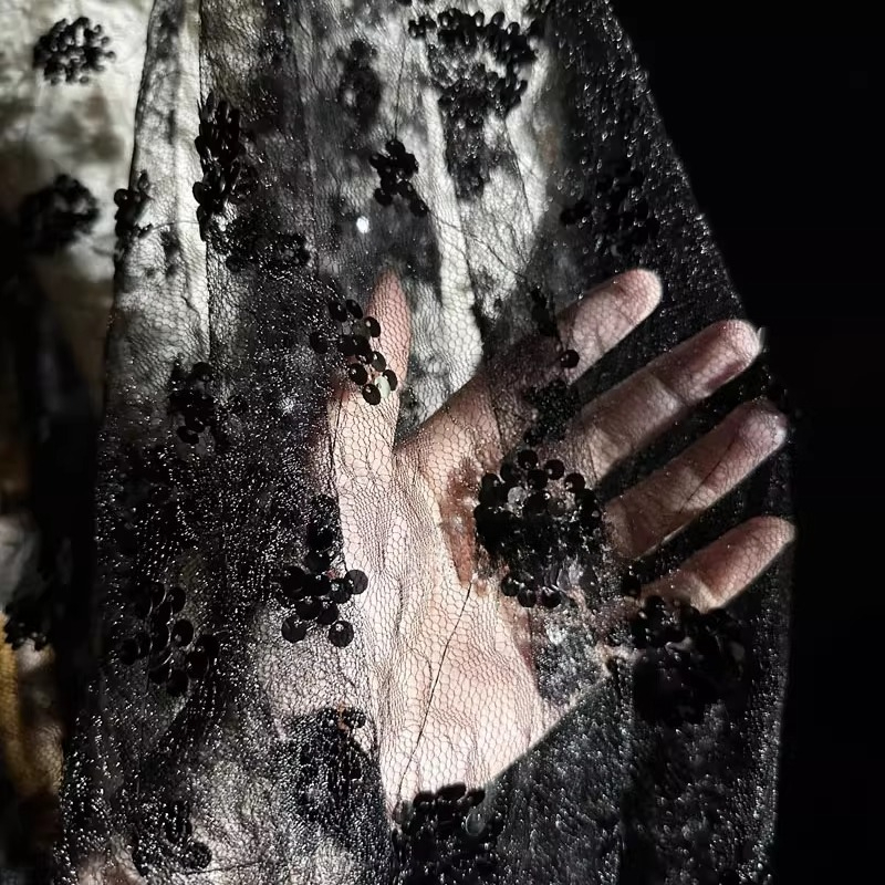 레이스 꽃 자수 스팽글 메쉬 원단 시스루 블랙 치파오  - Embroidery Net Fabric 리뷰 및 가격