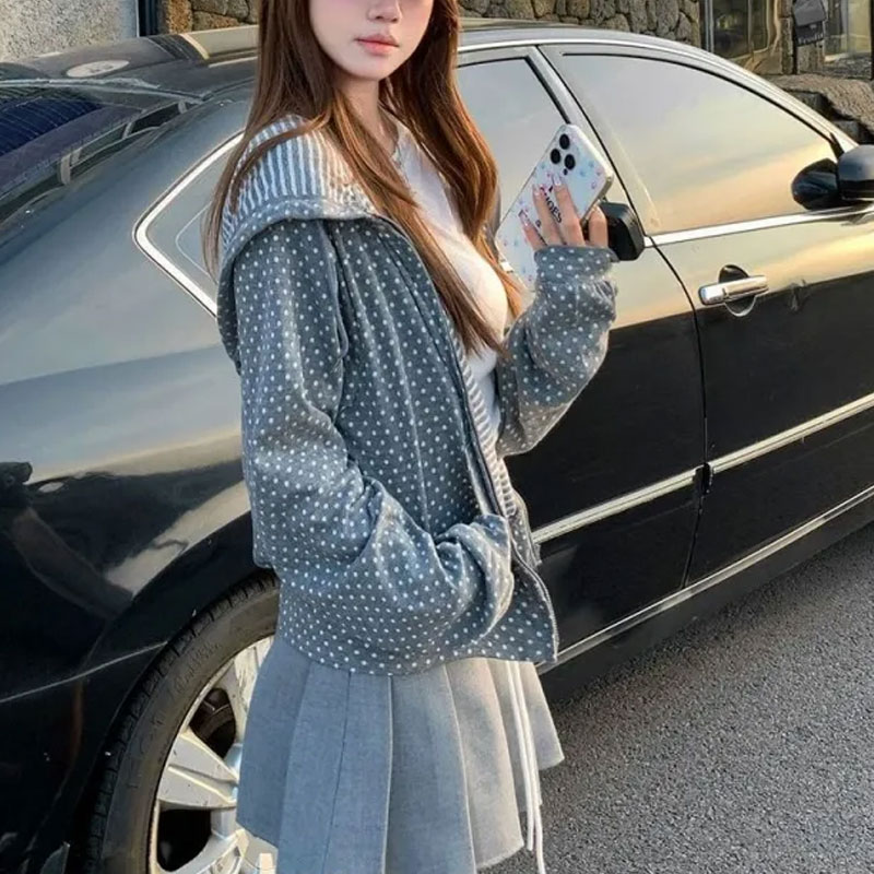 한국 폴카 도트 캐주얼 프린트 후드티 여성 의류 긴 소 - Embroidery Zip Up Hoodie 리뷰 및 가격